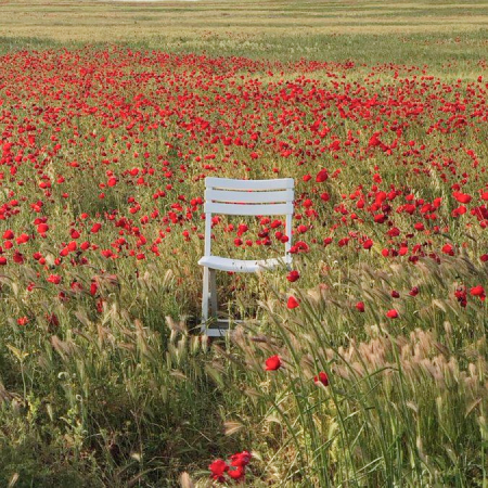 טיפים להארכת חיים של ריח בבית