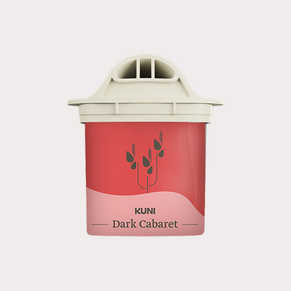 Dark Cabaret