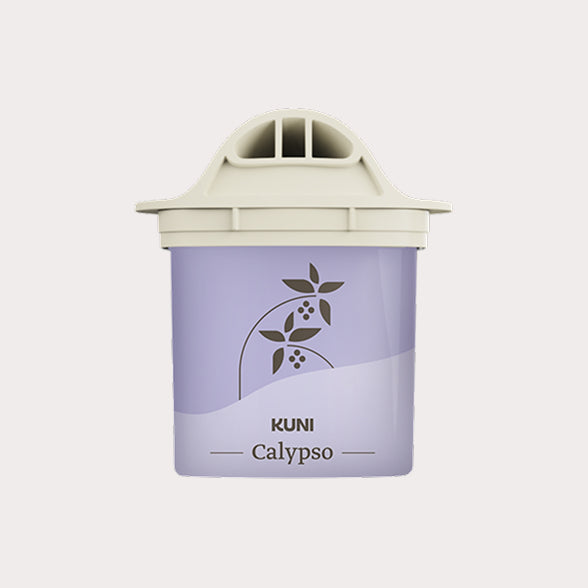 Calypso
