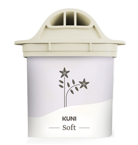 soft-2025